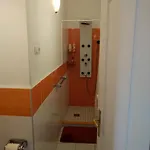 Inner-city Flat * Budapešť